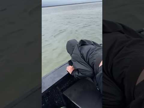 Brave kid saves boat..