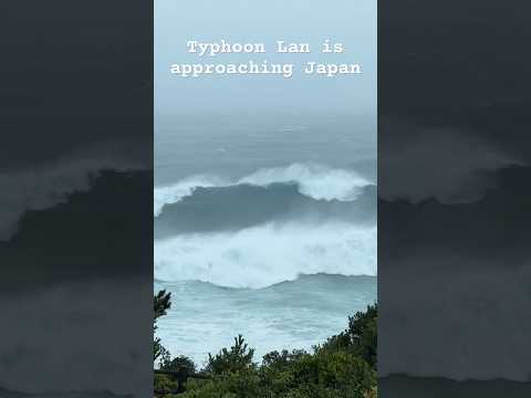 Brace Yourself Japan - Typhoon Lan Is Coming!